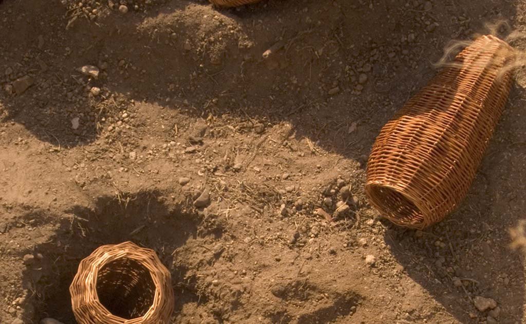  0000s 0007s 0004 Capa70