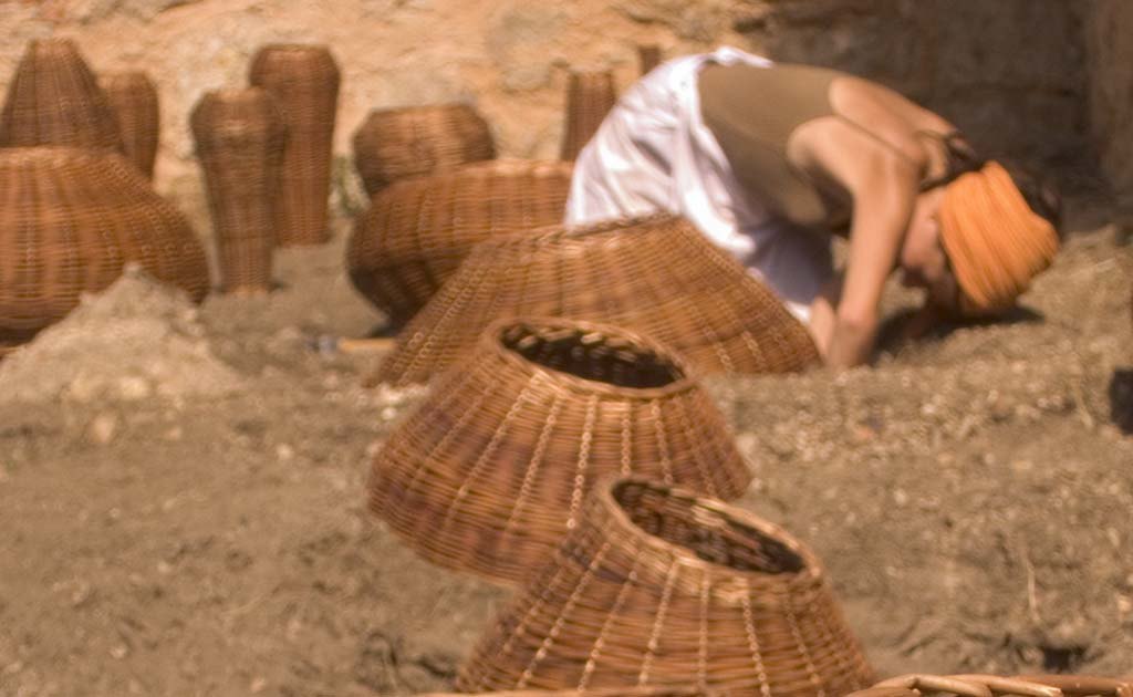  0000s 0007s 0008 Capa66